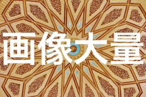 画像大量